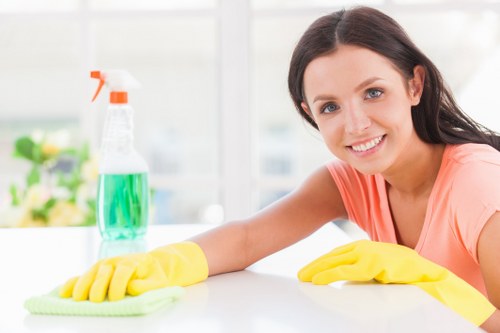 A professional patio cleaning service refreshing a garden patio in Watford