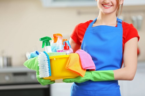 Essential cookies explanation for Cleaner Watford website