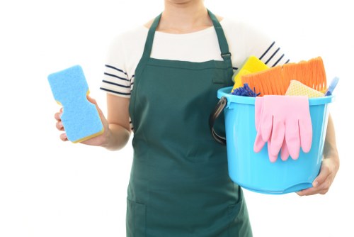 Cleaner Watford introducing professional local cleaning services
