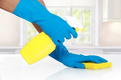 Local mattress cleaning for family and rental properties