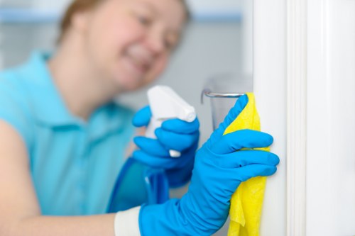 Local cleaners carrying out a detailed deep clean in Watford