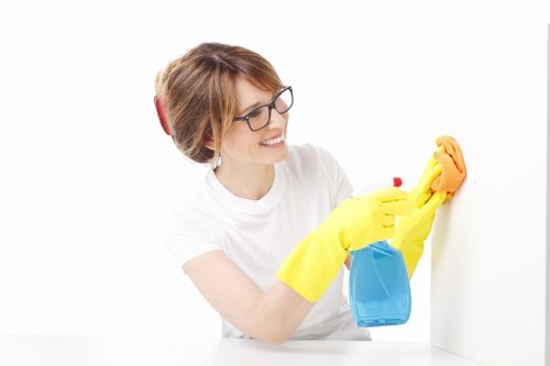 Cleaner maintaining a kitchen and bathroom during routine cleaning