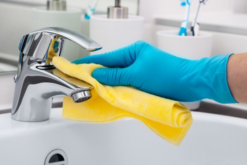 Regular home cleaning in Watford for a busy household