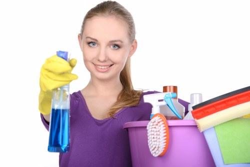 Deep carpet cleaning for high-traffic areas in Watford