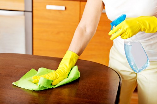 Detailed dust removal and surface cleaning after builders in Watford